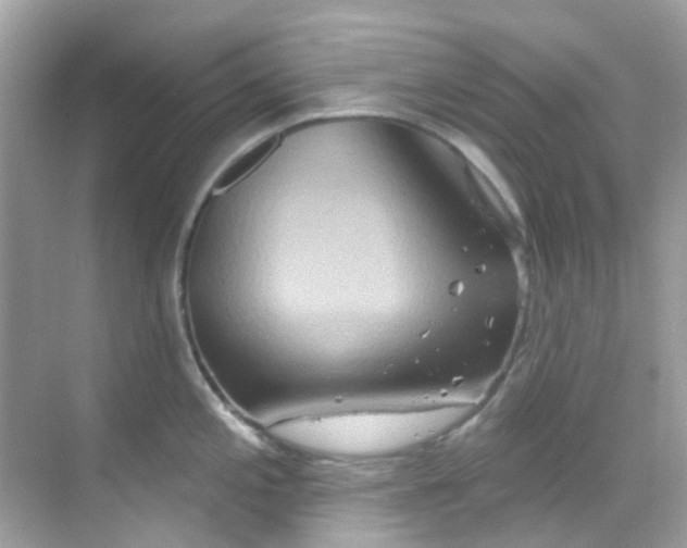 X0000068321197200605122048