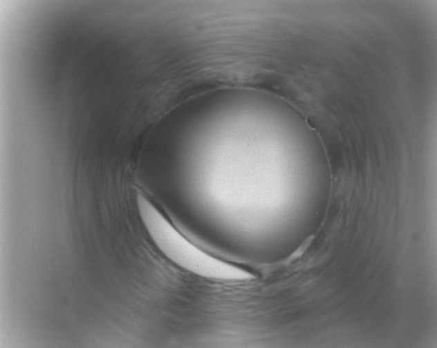 X0000068321202200605122047