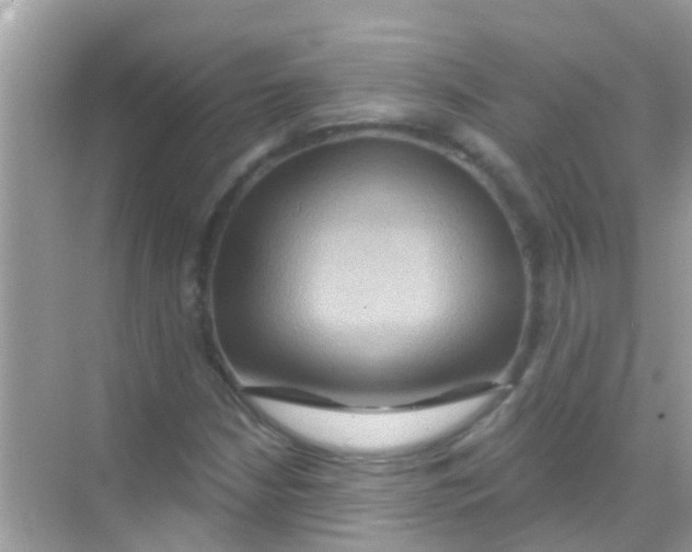 X0000068321210200605122047