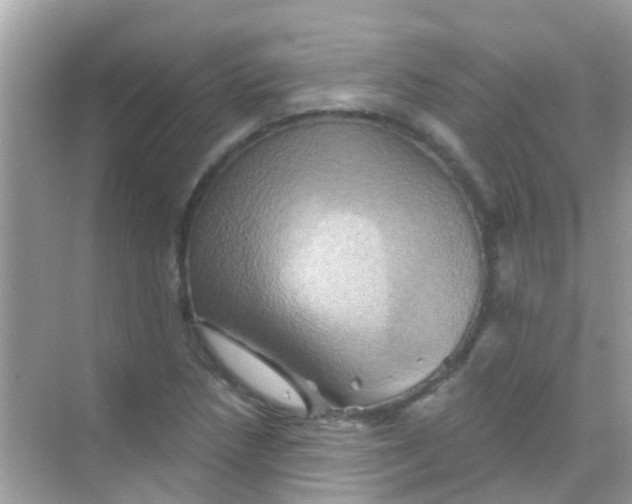 X0000068321218200605122048