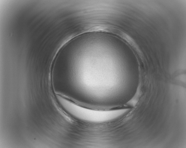 X0000068321234200605122048
