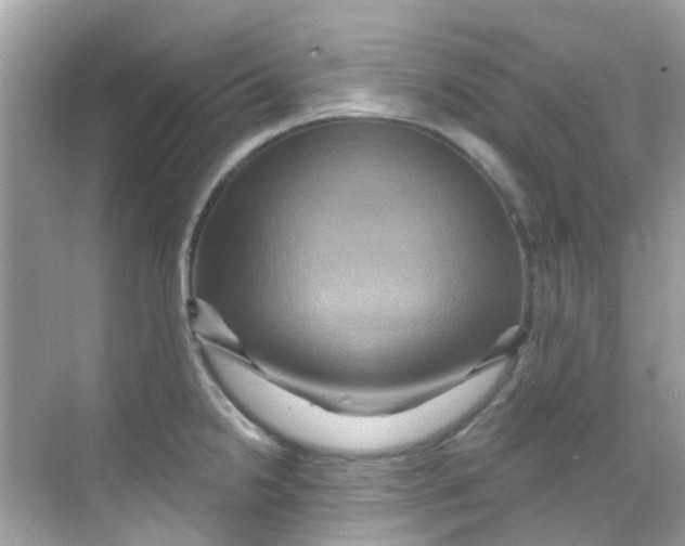 X0000068321238200605122048