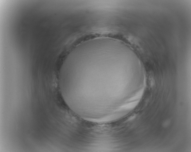 X0000068321253200605122047
