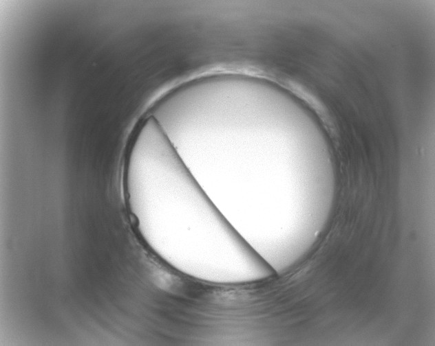 X0000068321272200605122047