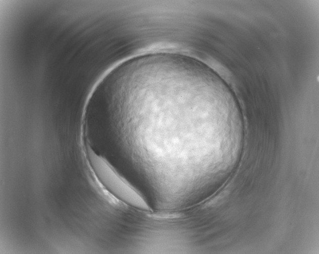 X0000068321296200605122047