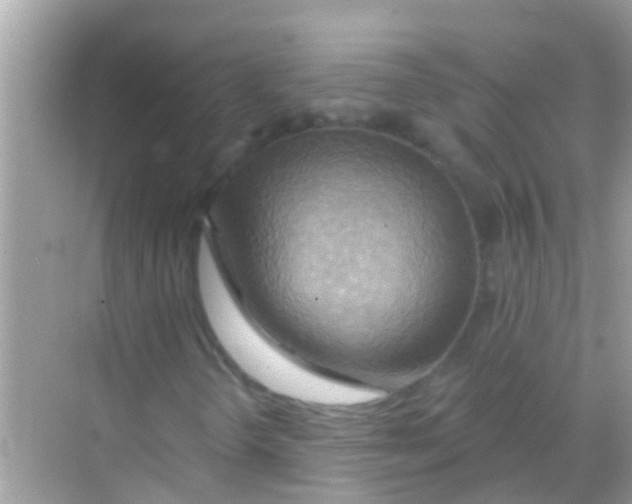 X0000068321298200605122046