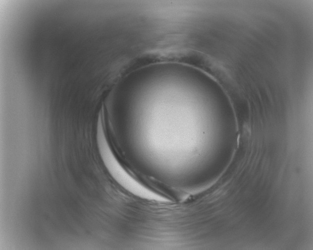 X0000068321300200605122046