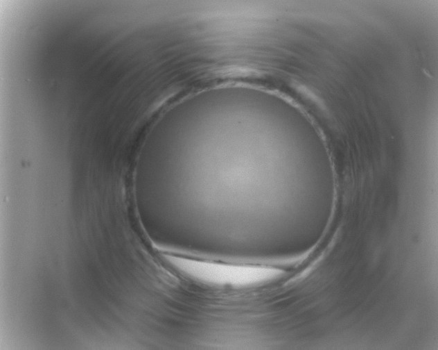X0000068321305200605122046