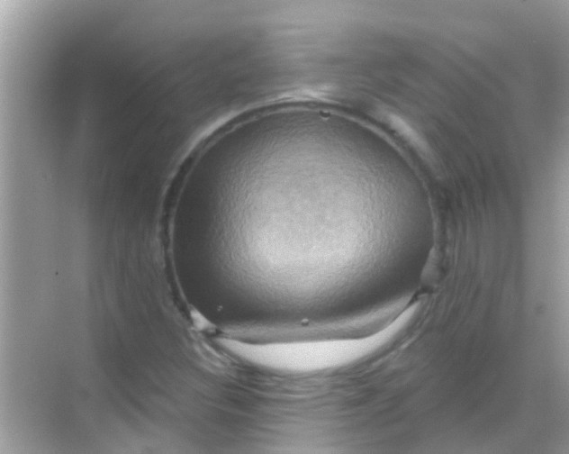 X0000068321308200605122046