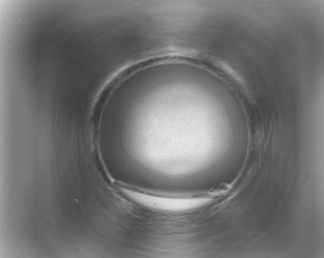 X0000068321310200605122046