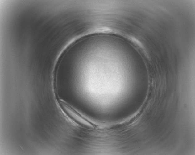 X0000068321326200605122046
