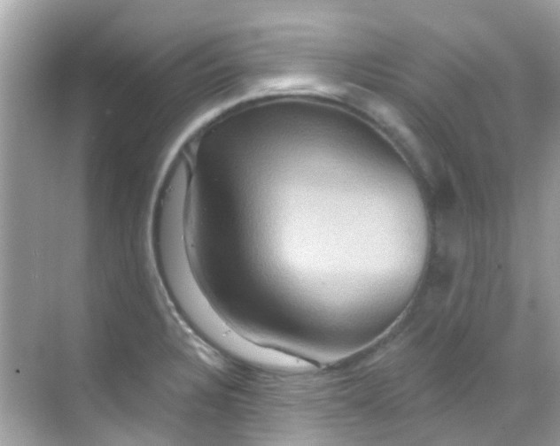 X0000068321328200605122046