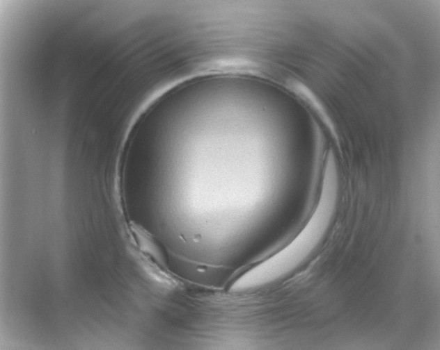 X0000068321336200605122046