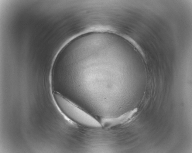 X0000068321343200605122046