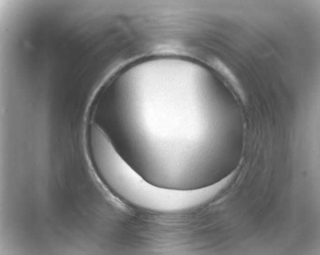 X0000068321376200605122045