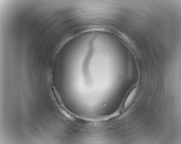 X0000068321377200605122045