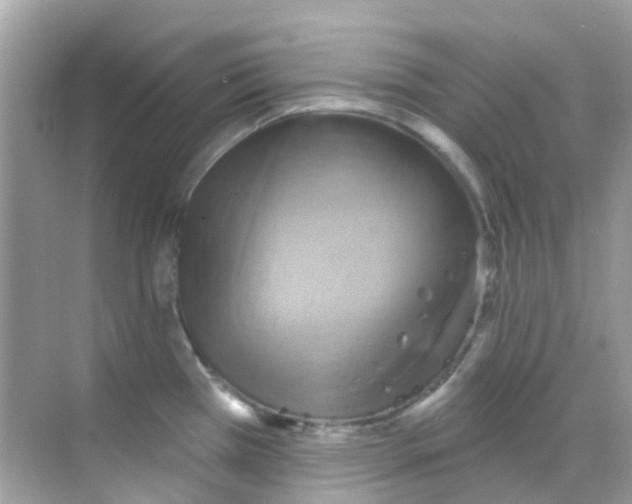 X0000068321385200605122045