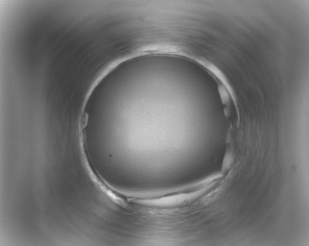 X0000068321389200605122045