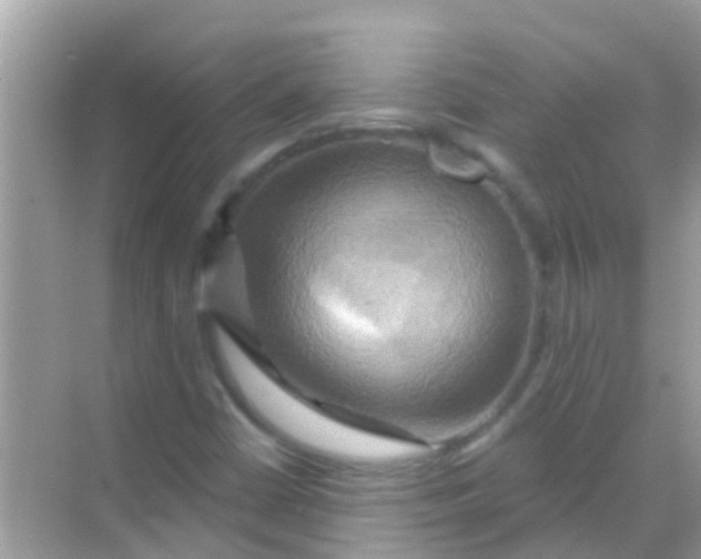 X0000068321402200605122044