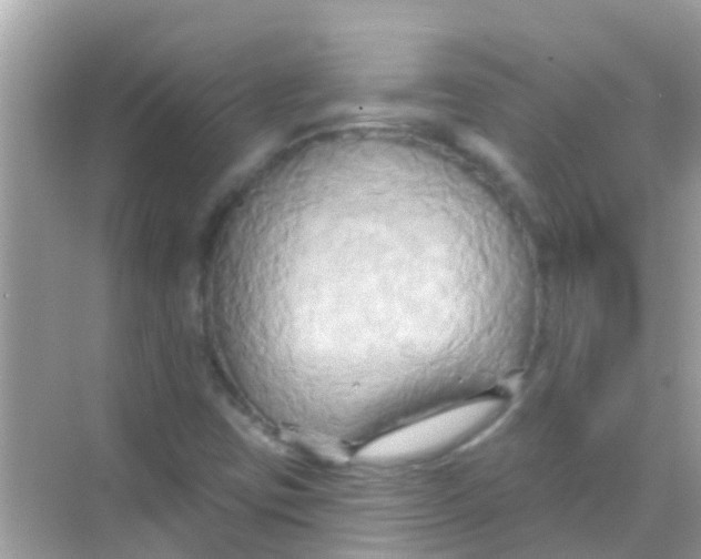X0000068321403200605122044