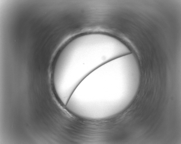 X0000068321416200605122044