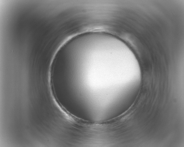 X0000068321424200605122045