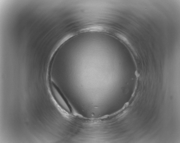 X0000068321426200605122045