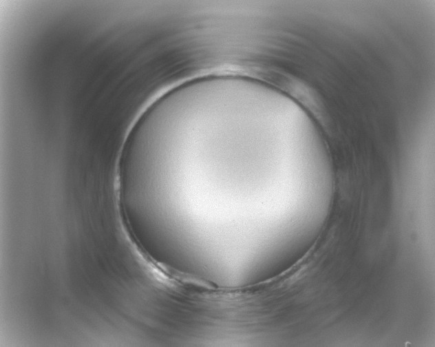 X0000068321428200605122045