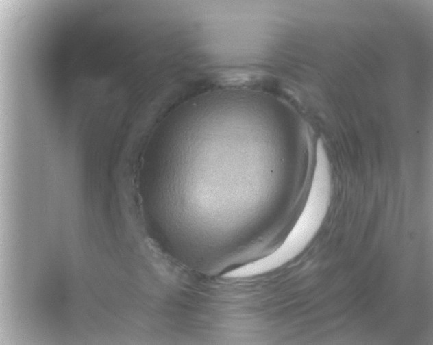 X0000068321441200605122044
