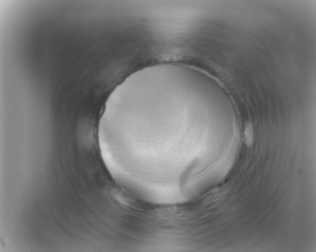 X0000068321444200605122044