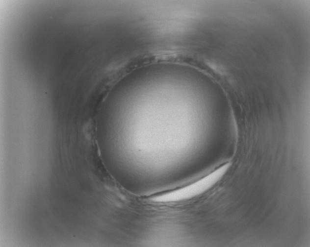 X0000068321445200605122044