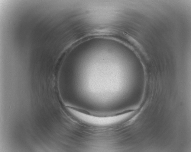 X0000068321449200605122044