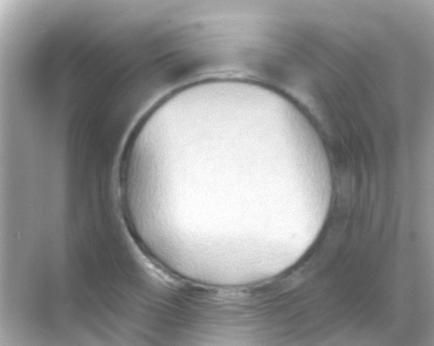 X0000068321466200605122044