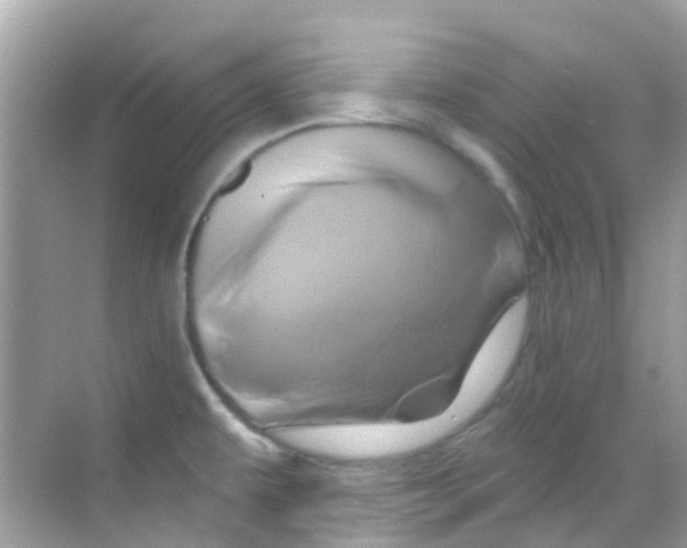 X0000068321479200605122043