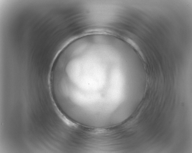 X0000068321482200605122043
