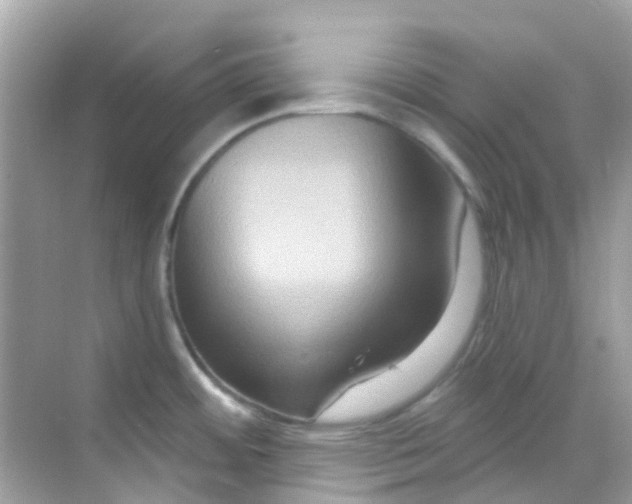 X0000068321484200605122043