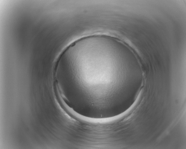 X0000068321500200605122043