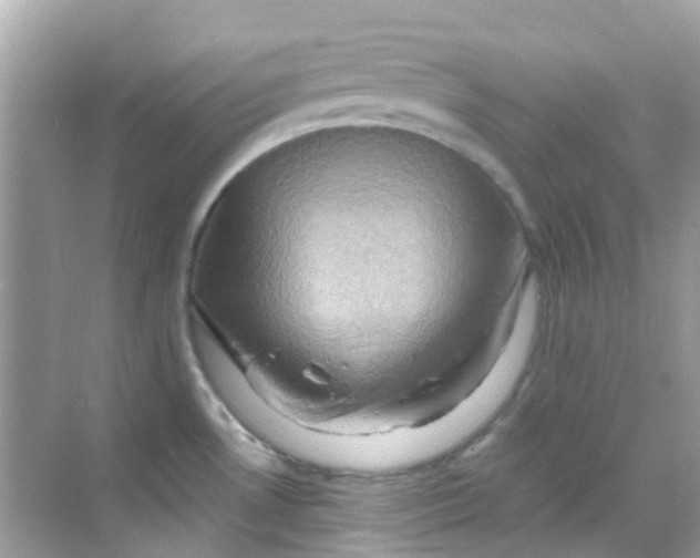 X0000068321530200605122043