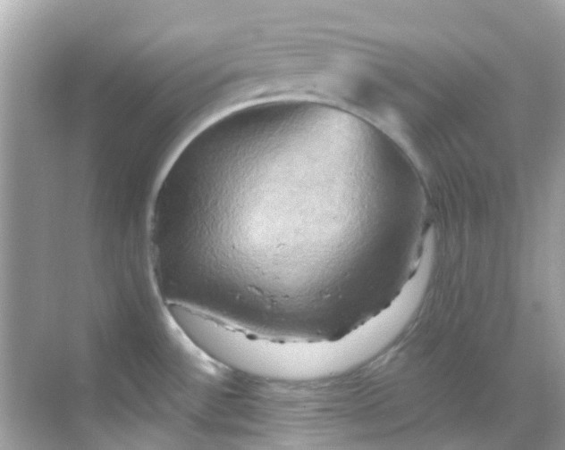 X0000068321532200605122043