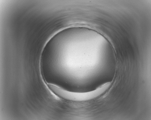 X0000068321533200605122043