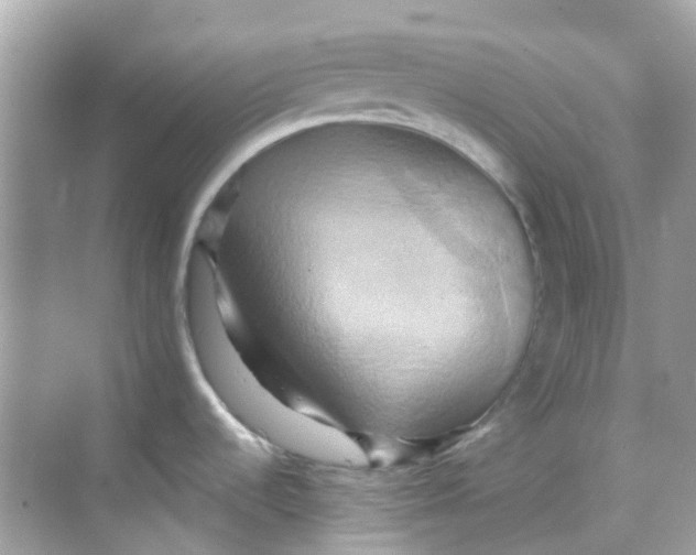 X0000068321536200605122043