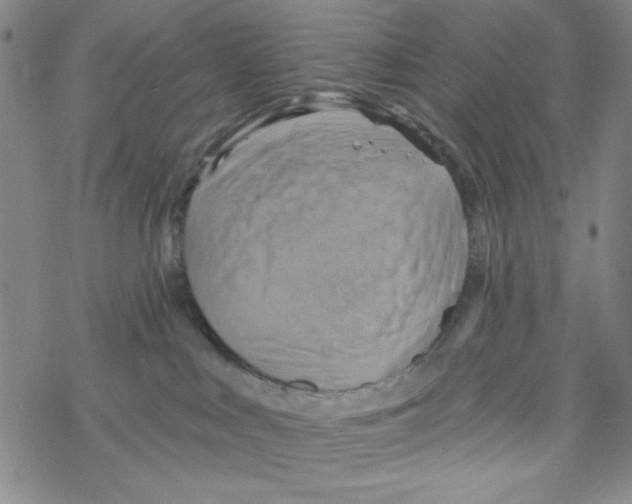 X0000068320043200605192044