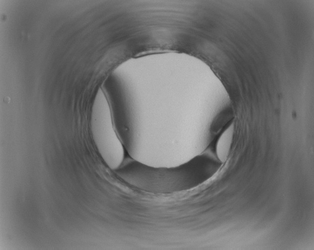 X0000068320045200605192044