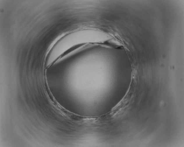 X0000068320052200605192043