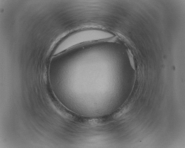 X0000068320064200605192043
