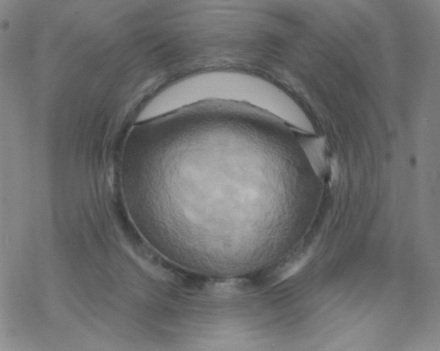 X0000068320072200605192043