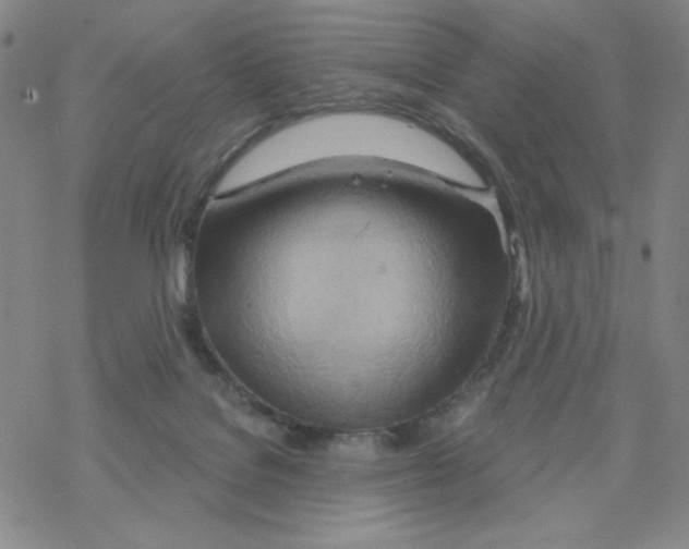 X0000068320076200605192044