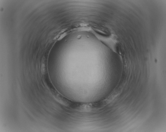 X0000068320080200605192044