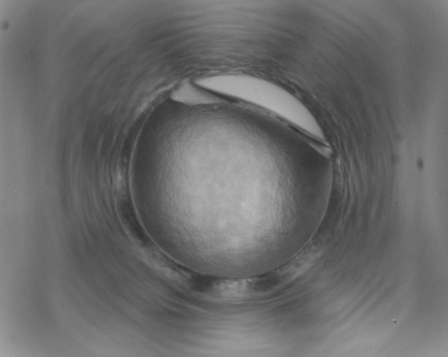 X0000068320084200605192044