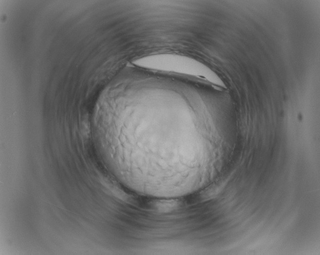 X0000068320085200605192044